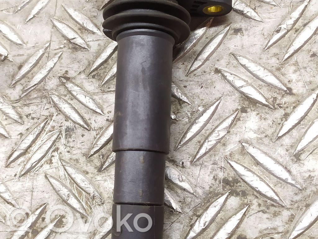 Porsche Cayenne (9PA) Zündspule Zündmodul 