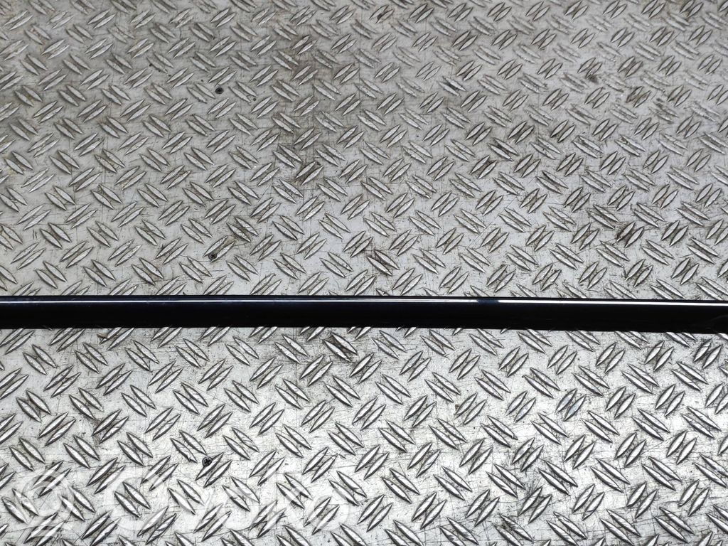 BMW 7 F01 F02 F03 F04 Listwa / Uszczelka szyby drzwi przednich 
