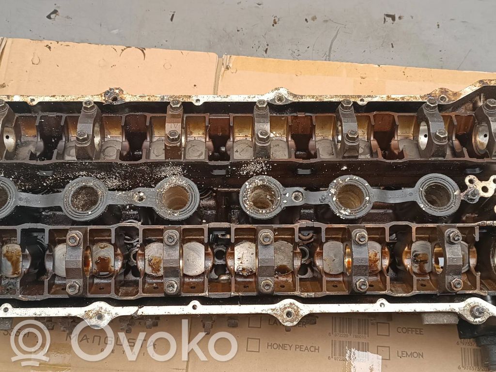 Galvutė   1720901