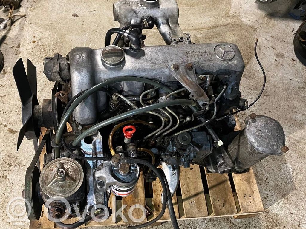 Mercedes-Benz W123 Motor 