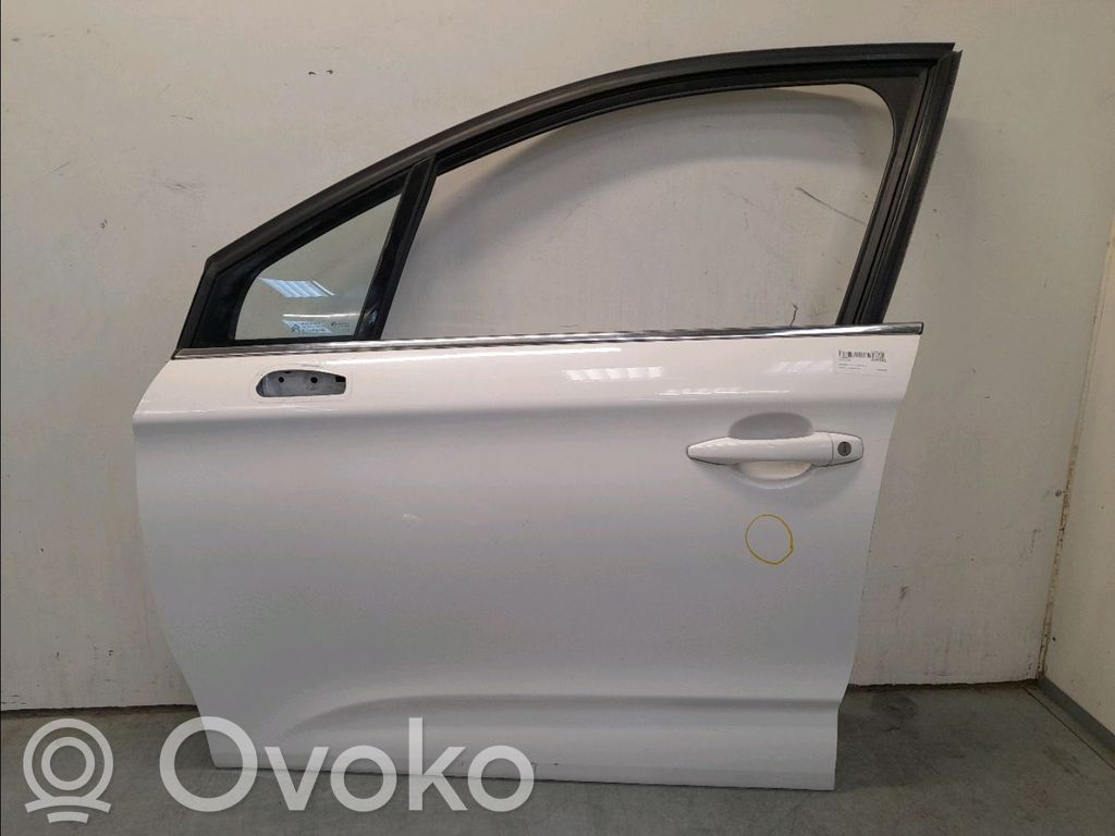 Priekinės durys   9002EF