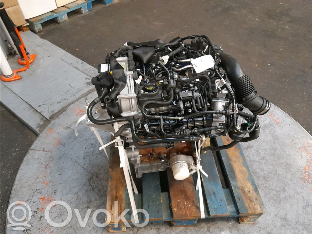 Ford Fiesta Variklis 