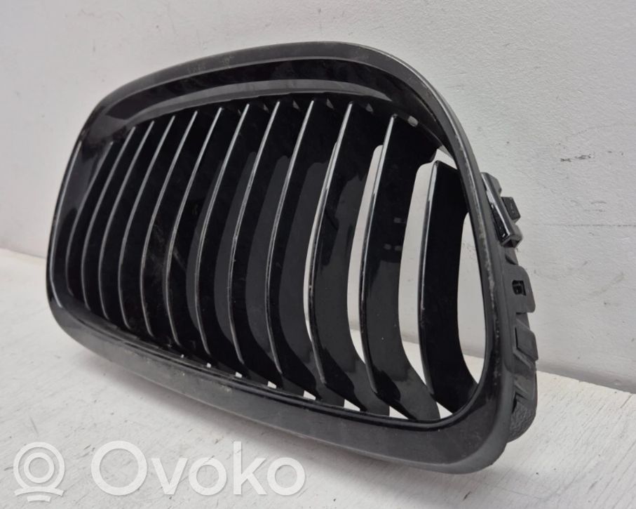 Kühlergrill   7201968,7201968,51137201968