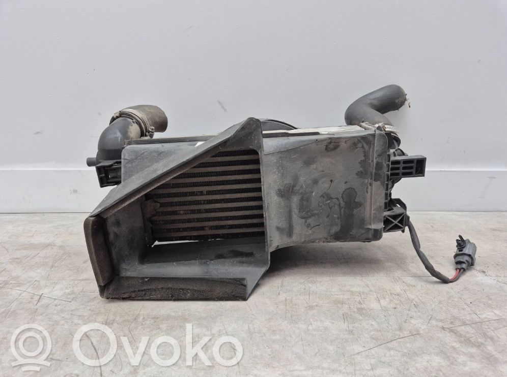 Ford Focus Starpdzesētāja radiators 