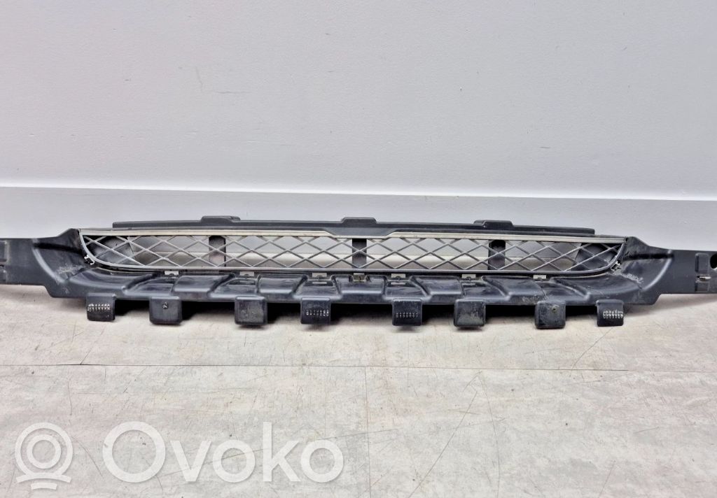 BMW X6 E71 Front bumper lower grill 