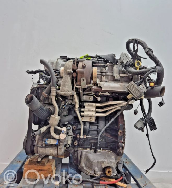 Motor   LNP,LNP,Z20D1,LNPZ20D1