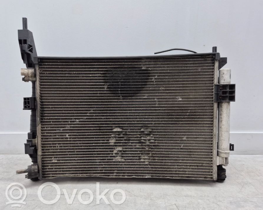 Ford Focus Fan set 