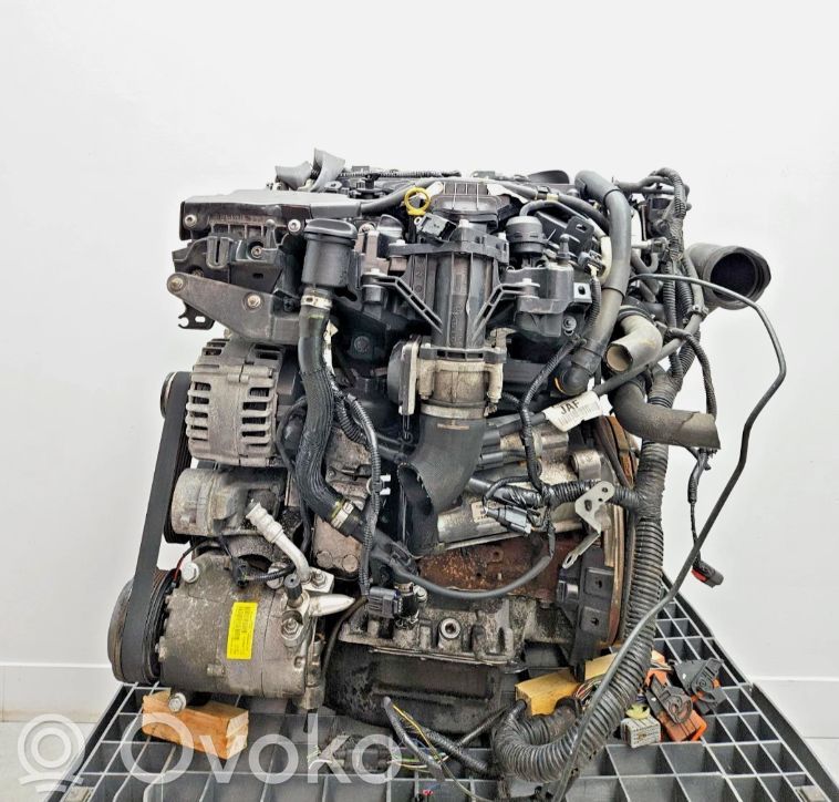 Dzinējs   UFMA,UFMA,REAV4Q6006AD,AV4Q6006AD,C20DD0X,DW10C,REAV4Q6006AD