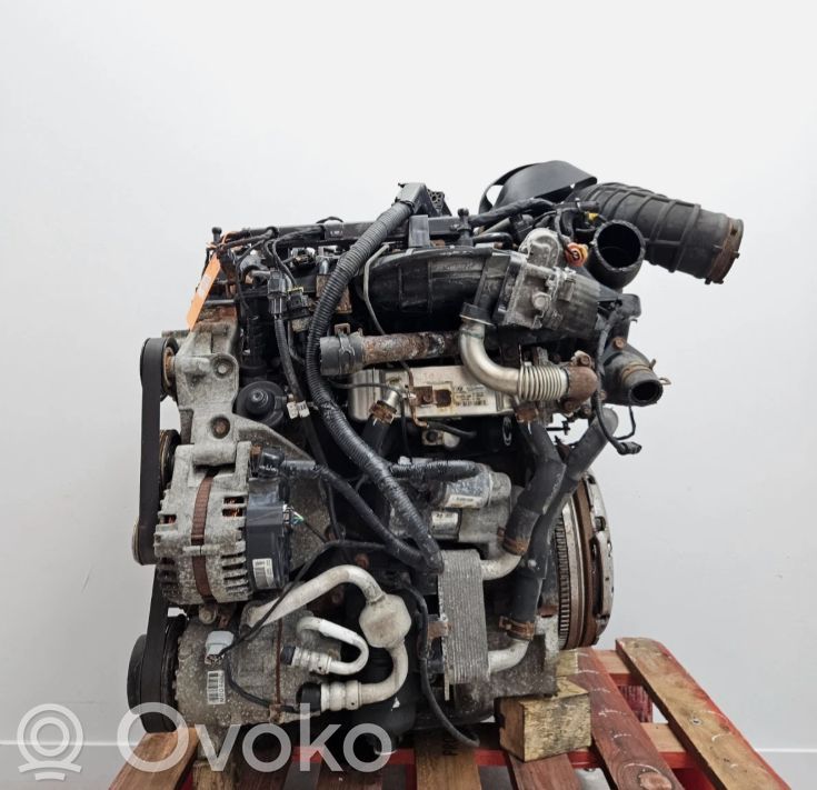 Engine   D4HA,D4HA,D4HAH,221002F000,552F52FU00,Z62512FZ00