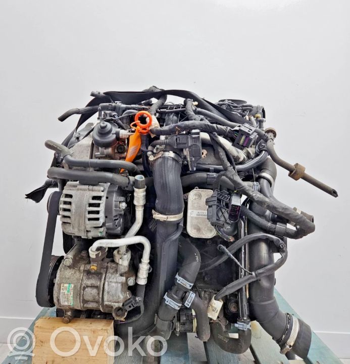 Volkswagen Scirocco Motor 