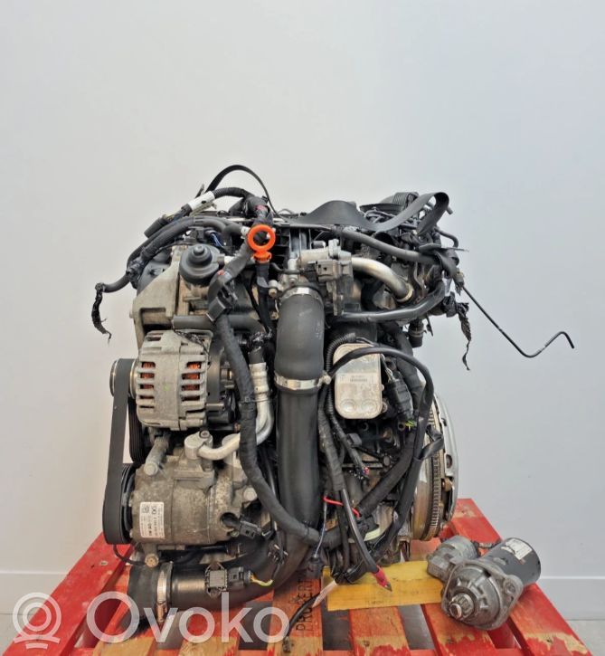 Seat Ibiza IV (6J,6P) Engine 