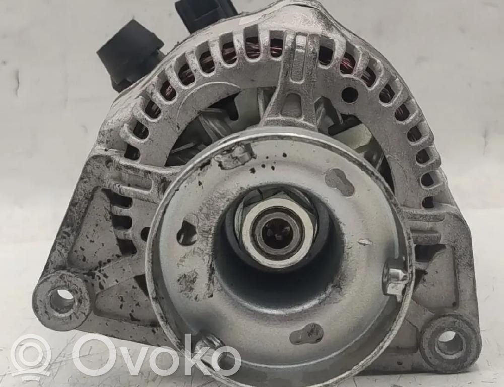 Alternator   1307487,301475RI