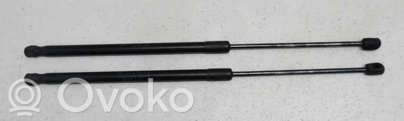 Tailgate/trunk strut/damper   51247127875,0005904,6162734,VDMS12