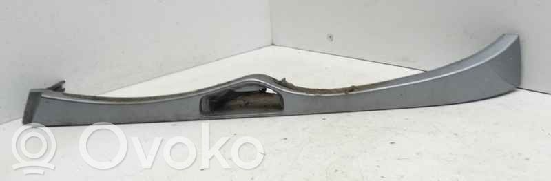 BMW 3 E46 Ornament sub far 