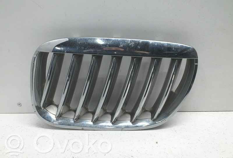 BMW X5 E53 Front grill 