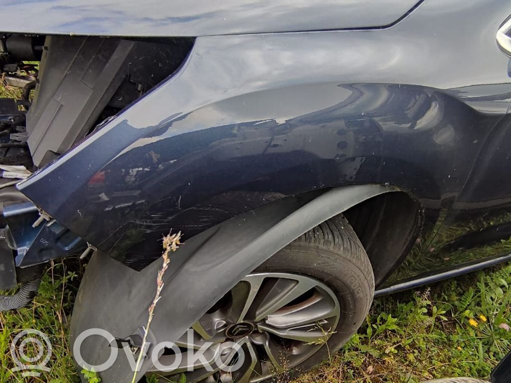 Citroen DS4 Sparnas 