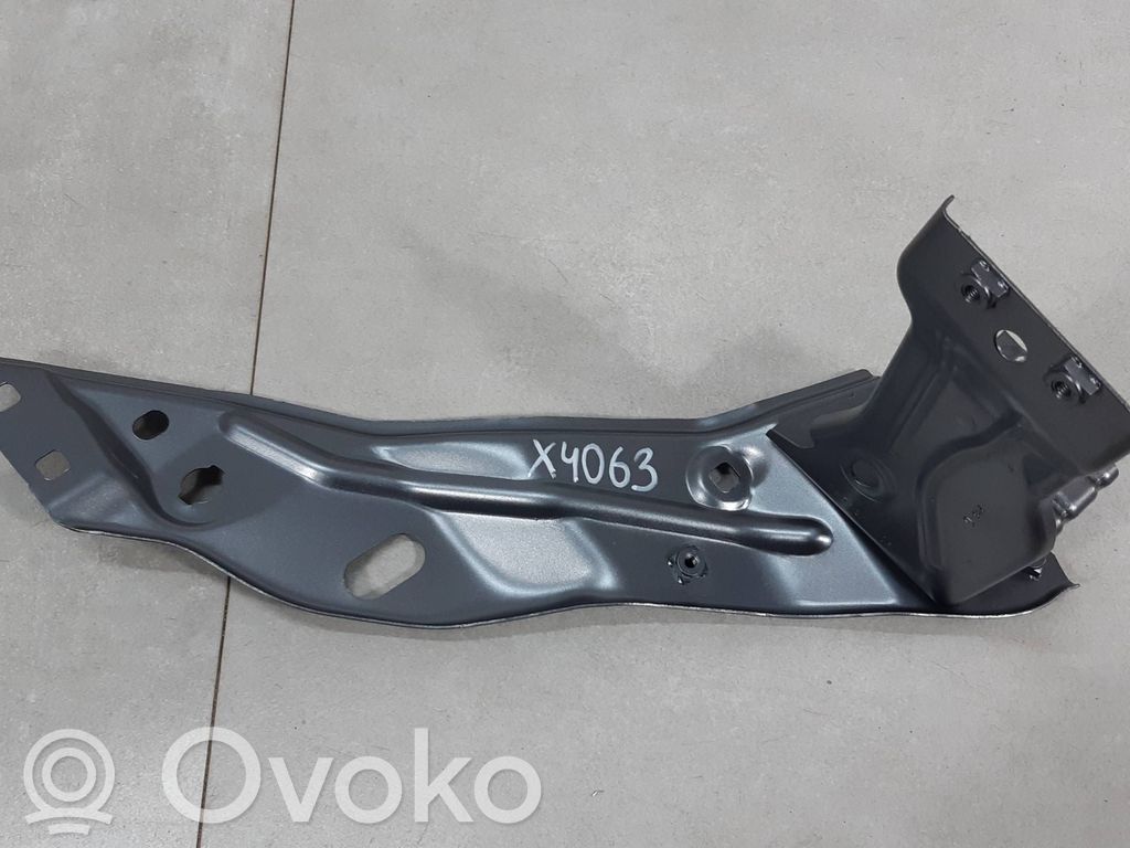 Dacia Sandero III Kita išorės detalė 