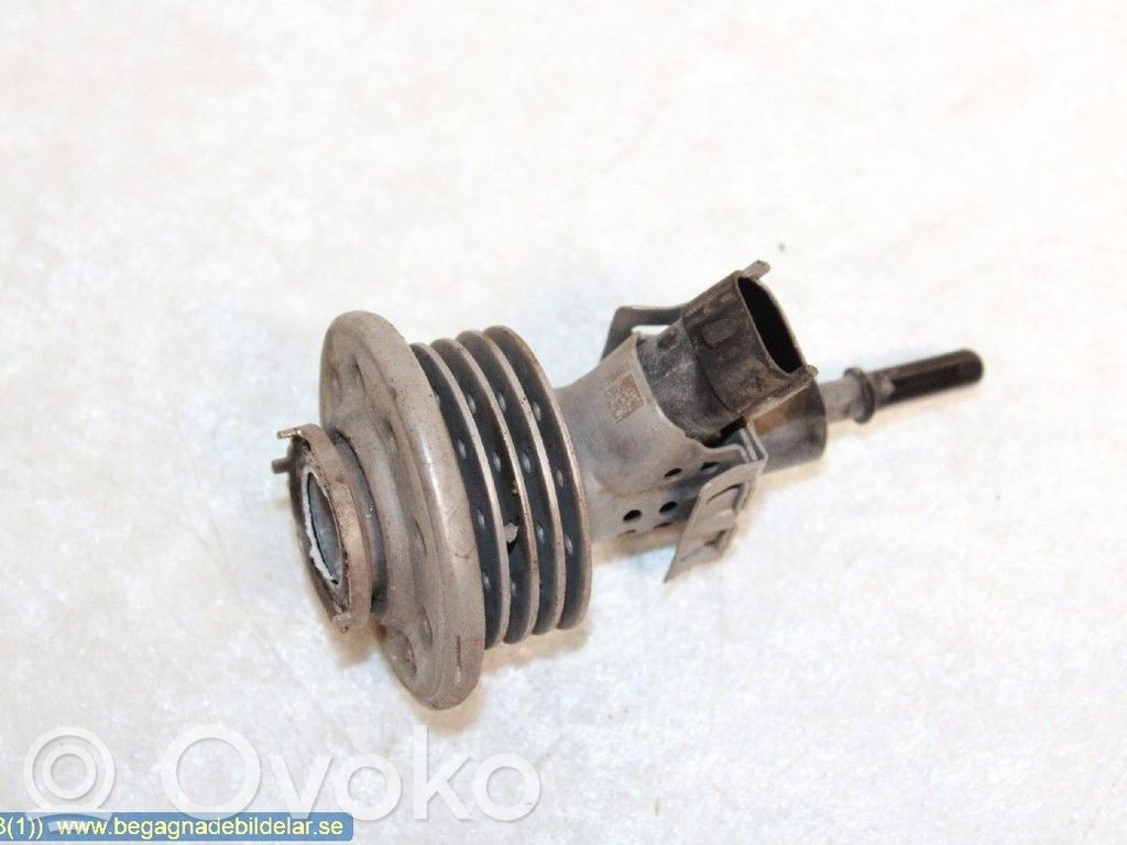 AdBlue injector   208993839R