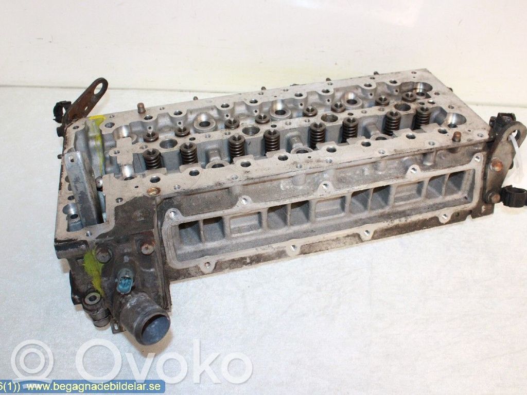 Galvutė   504049268