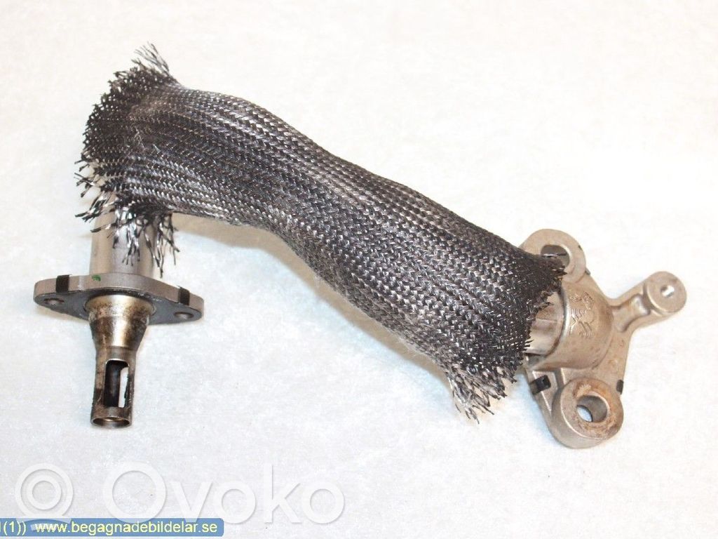 EGR-linjan letku   147130894R
