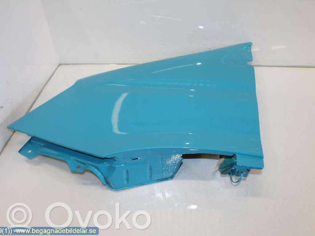 Guardabarro   3800002,5801352974