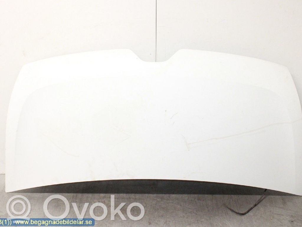 Engine bonnet/hood   651009963R