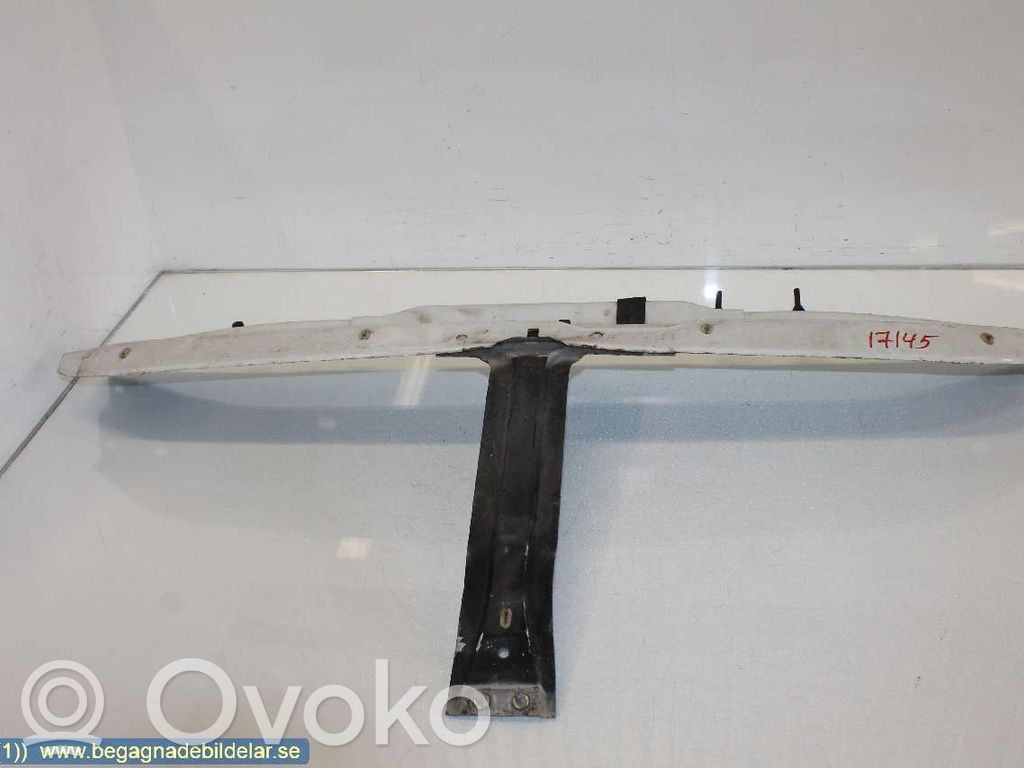 Radiatoru panelis   7751690121