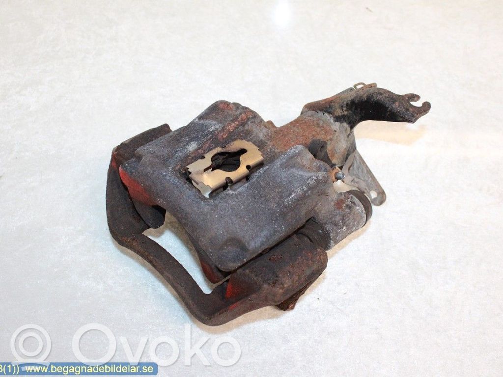 Takajarrusatula   42559617