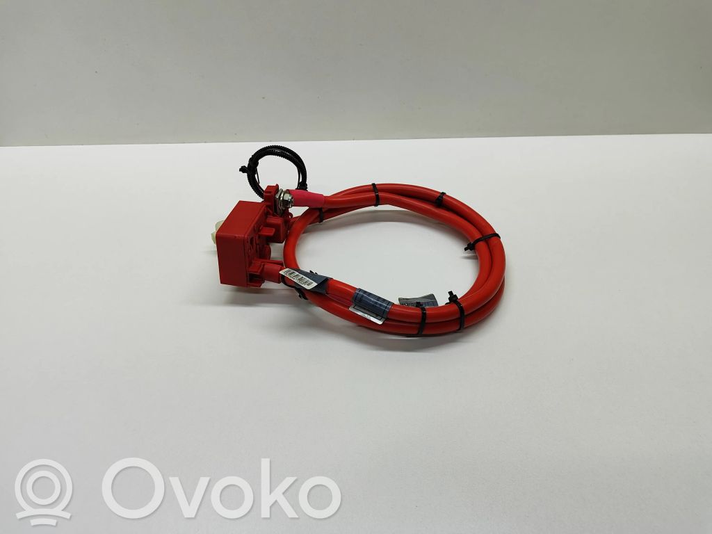 Positive cable (battery)   6989782,6989781,10304410,9127768