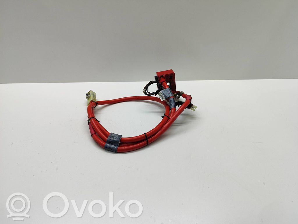 Positive cable (battery)   6989781,6989782,698978202,10304410,9127768
