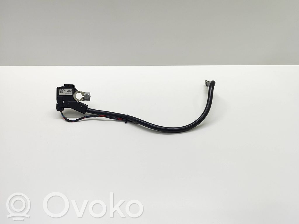 BMW 5 F10 F11 Cablu cu bornă negativă (baterie) 