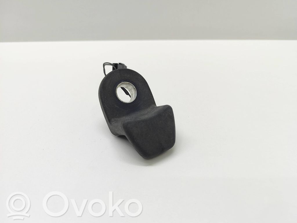 Tailgate glass/window release handle   9218995