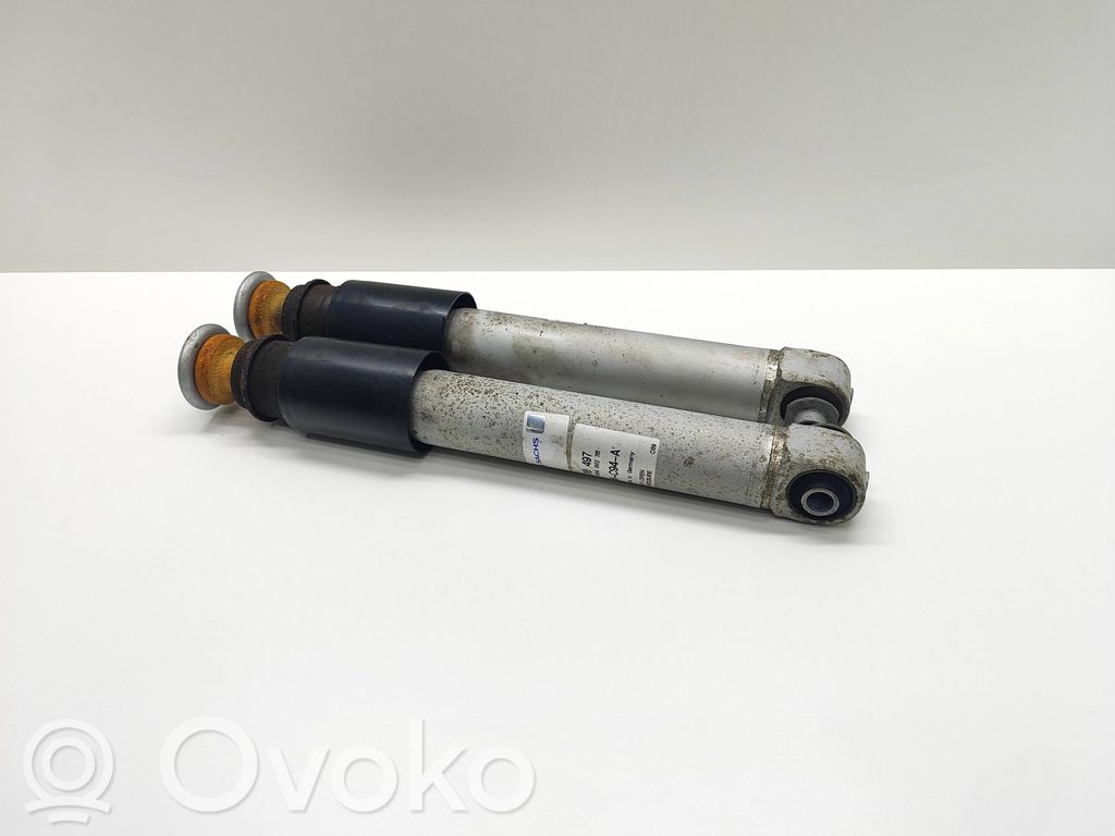 Stoßdämpfer hinten   814904,814904002,310497