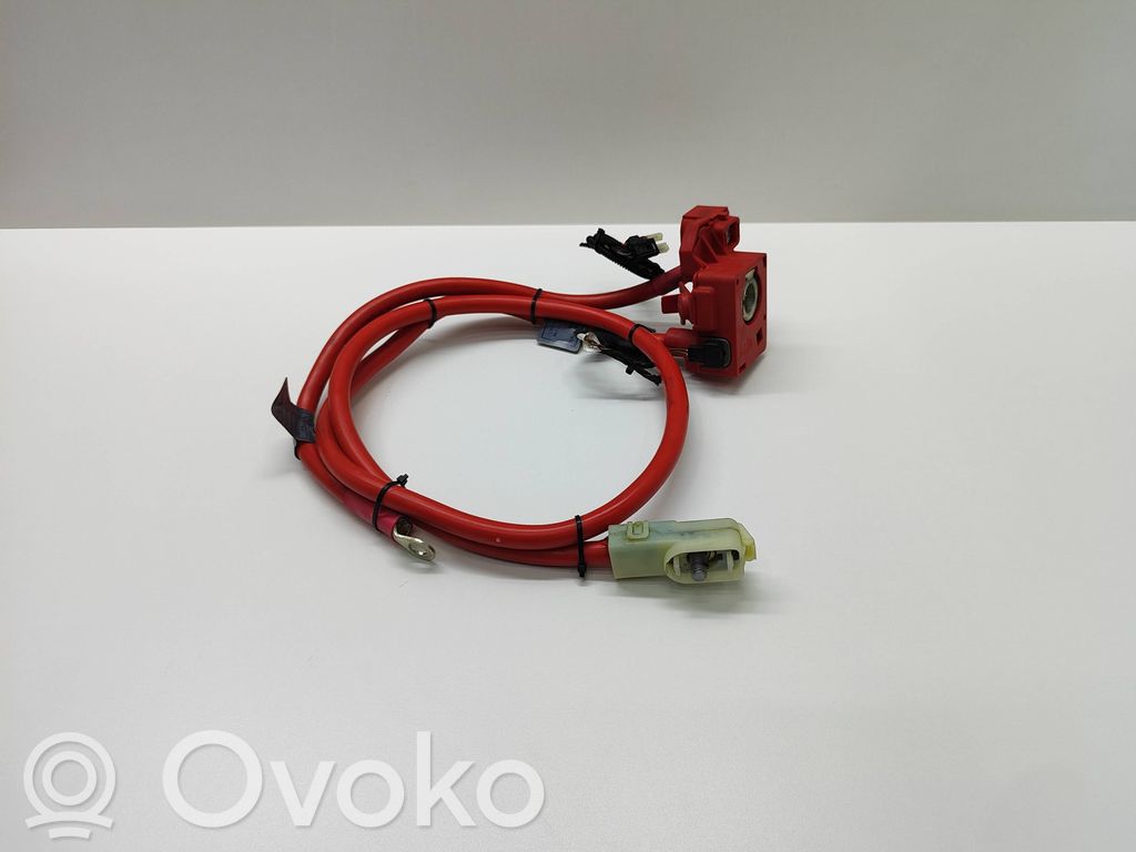 Pluskabel Batterie   6989782,10304410,6989782,6989781,698978202