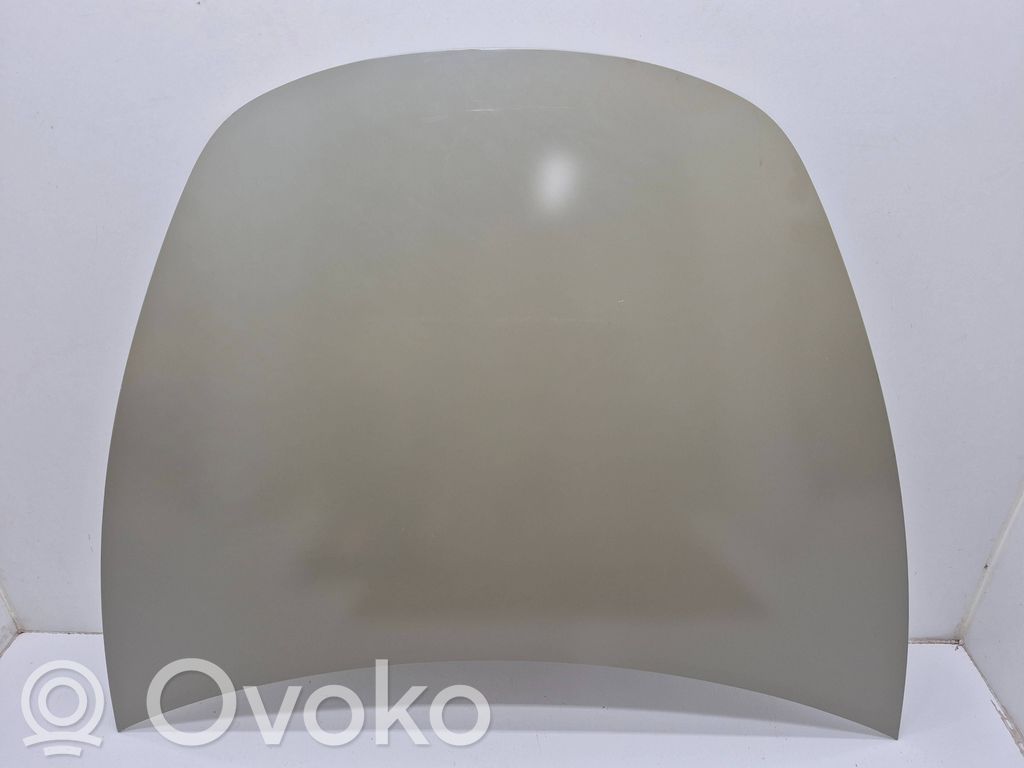 Tesla Model 3 Dzinēja pārsegs (vāks) 