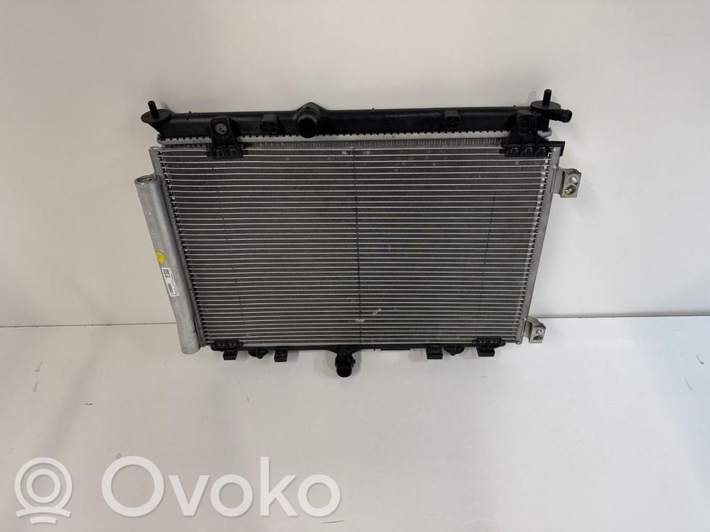 Citroen C3 Radiator set 
