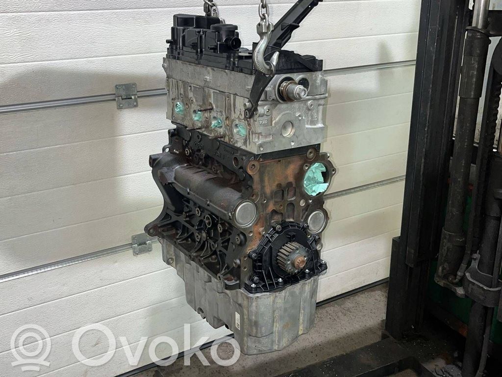Motor   DNA,DNAA,DNAB