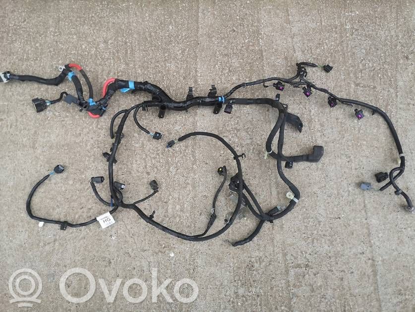 Otros cableados   EB3T12B637HG