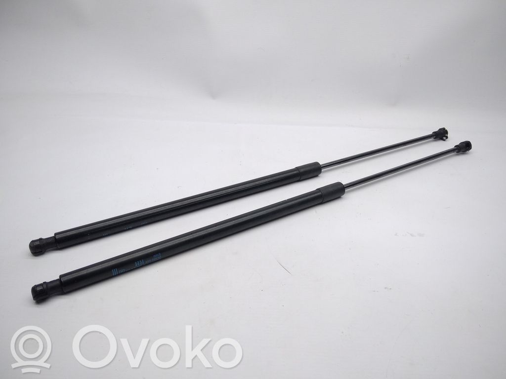 Tailgate/trunk strut/damper   95095594,2AMORTECEDORES