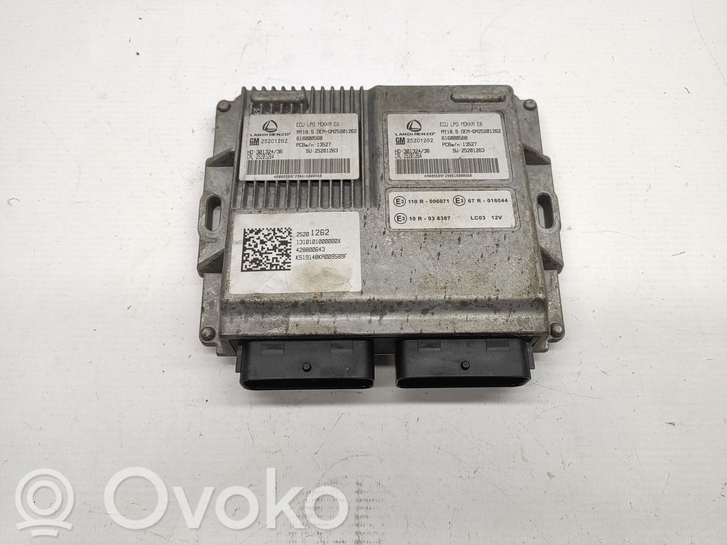 Engine control unit/module   25201262,CENTRALINAGPL
