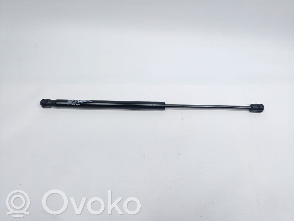 Tailgate/trunk strut/damper   11607280690