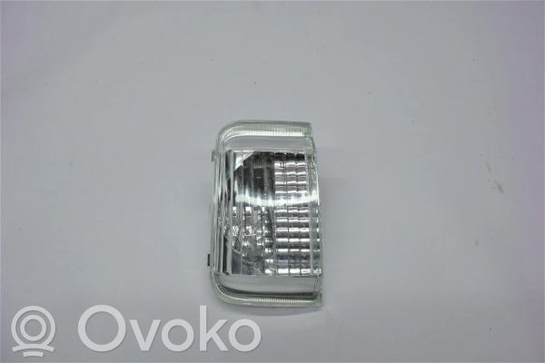 Citroen Jumper Spiegelblinker 