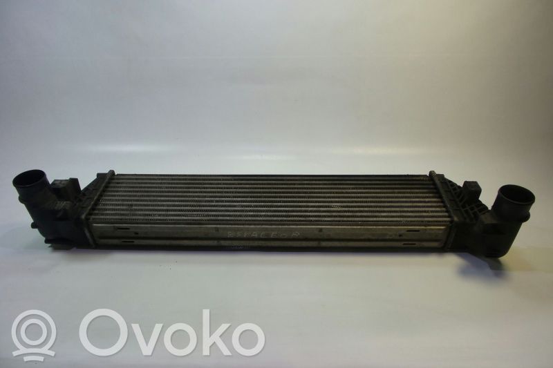 Interkūlerio radiatorius   878046G