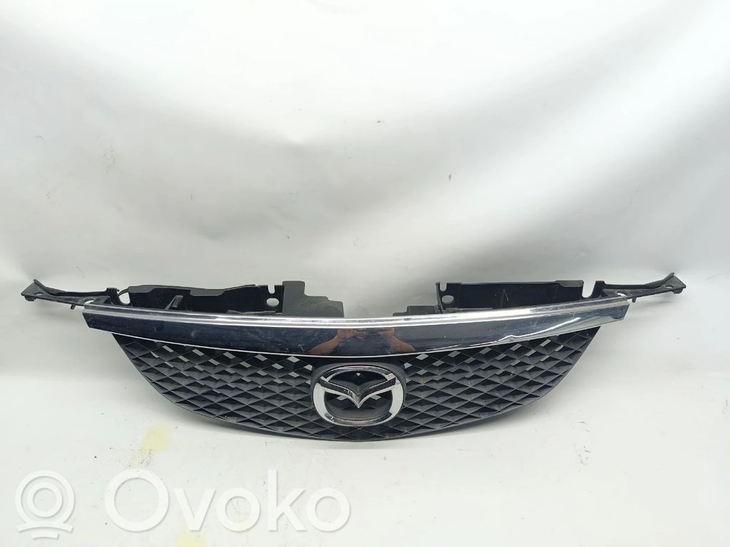 Kühlergrill   C10050710C,C10050712