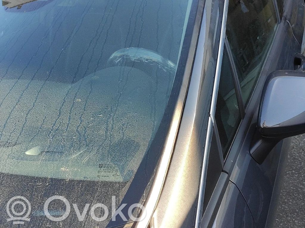 Windshield trim   39041883,39028713