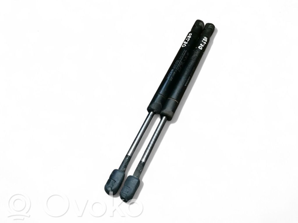Tailgate/trunk strut/damper   30779837