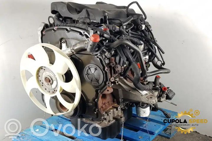 Ford Transit Austauschmotor 