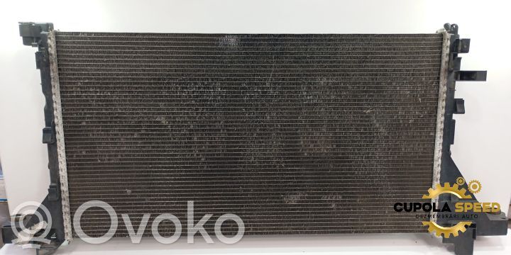 Wasserkühler   214107695R