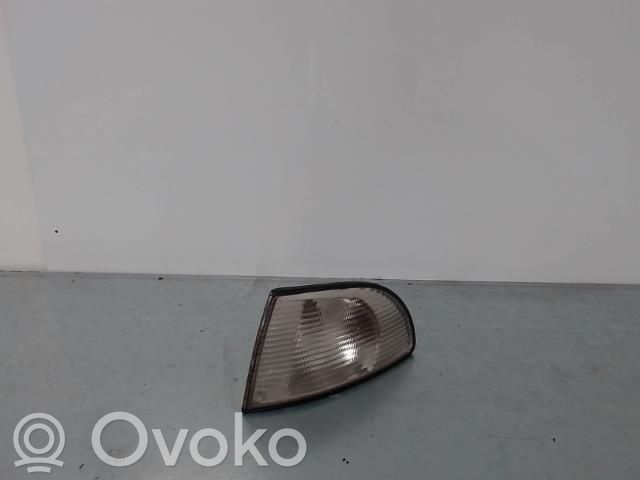 Seitenblinker