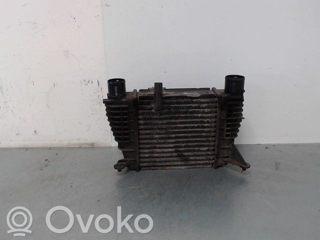 Intercooler radiator   8200170504